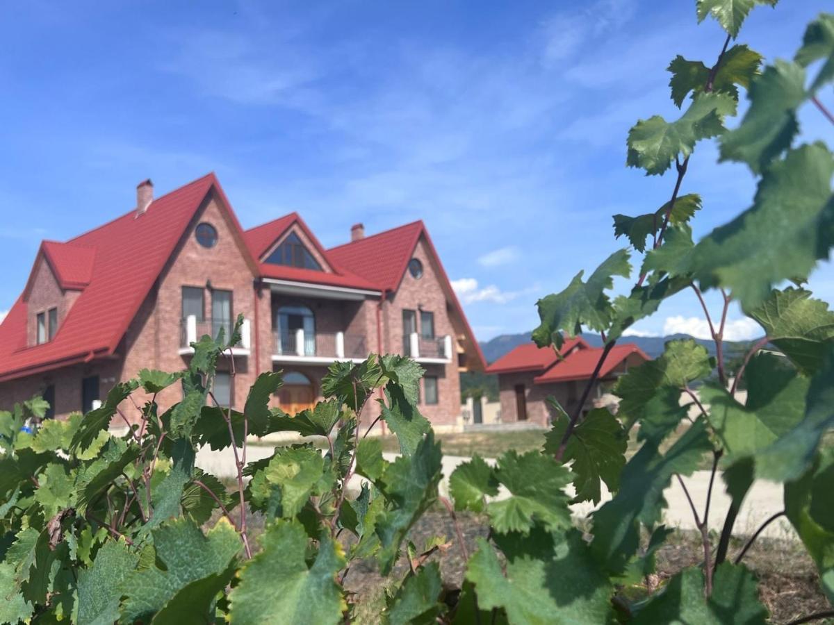 Begaso Family Winery Otel Kvareli Dış mekan fotoğraf