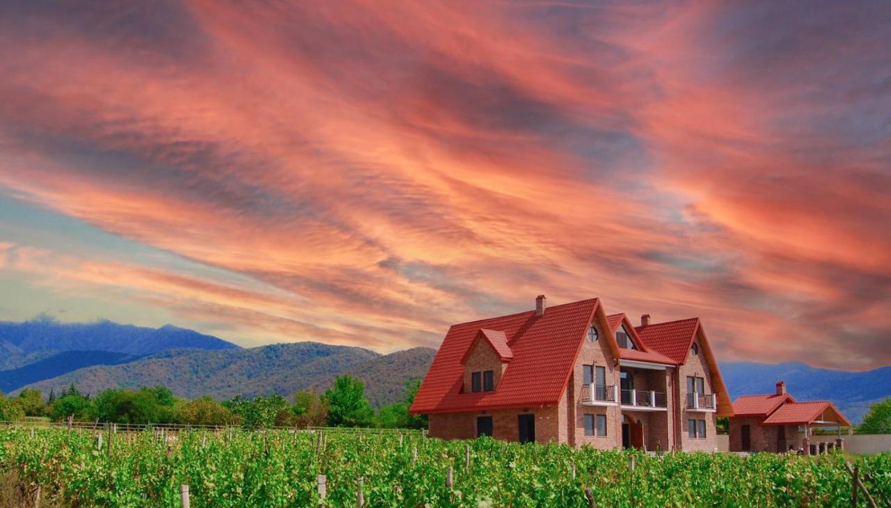 Begaso Family Winery Otel Kvareli Dış mekan fotoğraf